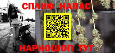 стафф Моздок